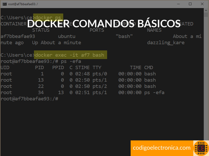 Docker comandos básicos 