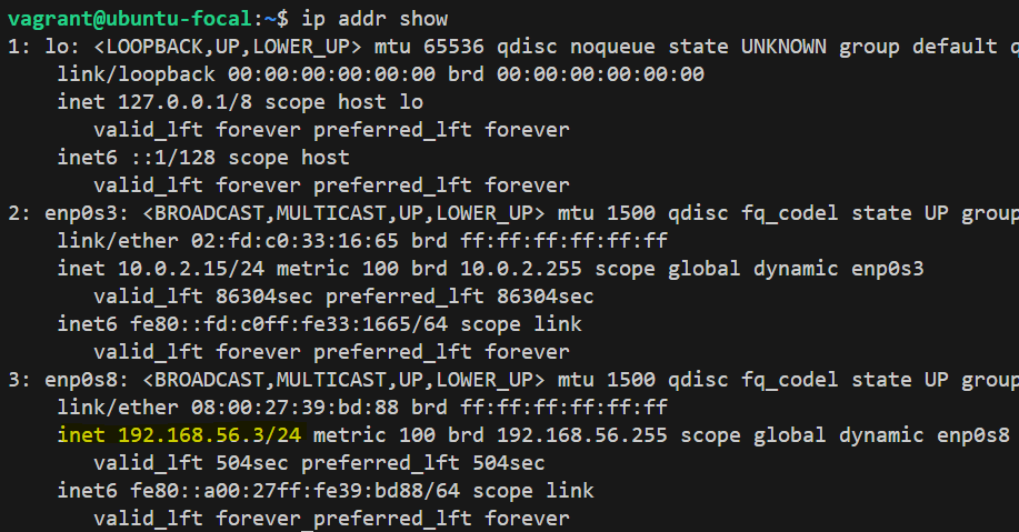 IP por DHCP
