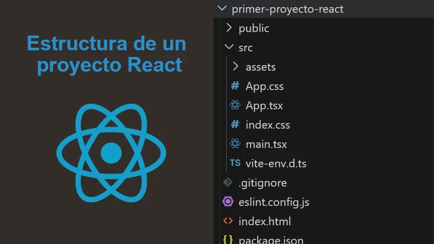 estructura proyecto react react.webp