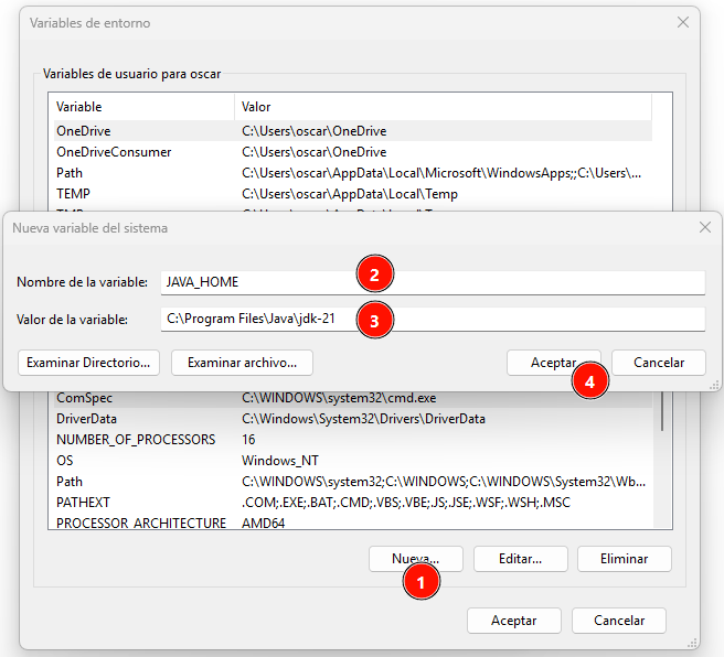 Crear variable de entorno