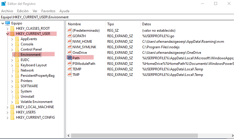 Editor de registros, variable usuario