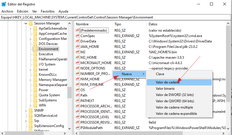 Crear nueva variable en regedit
